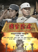 国内精品久久久久久久